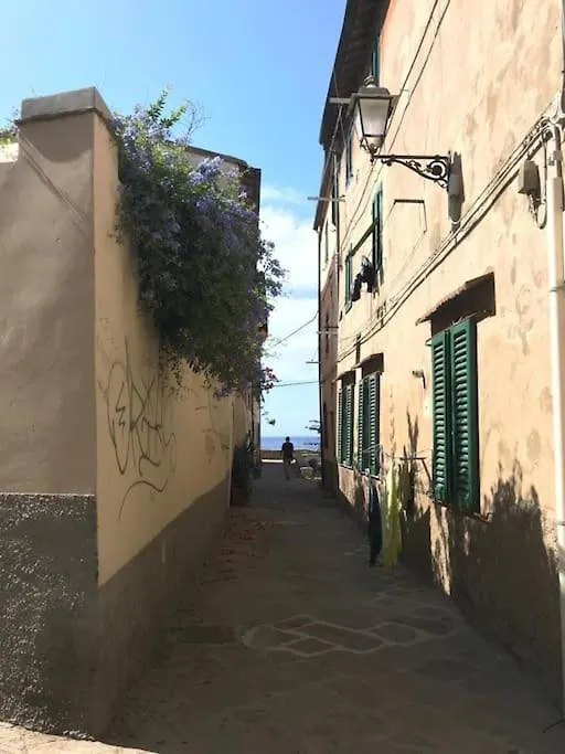 Appartamento Casa San Michele - Monolocale Con Bagno E Cottura Piombino 0*,  Italia