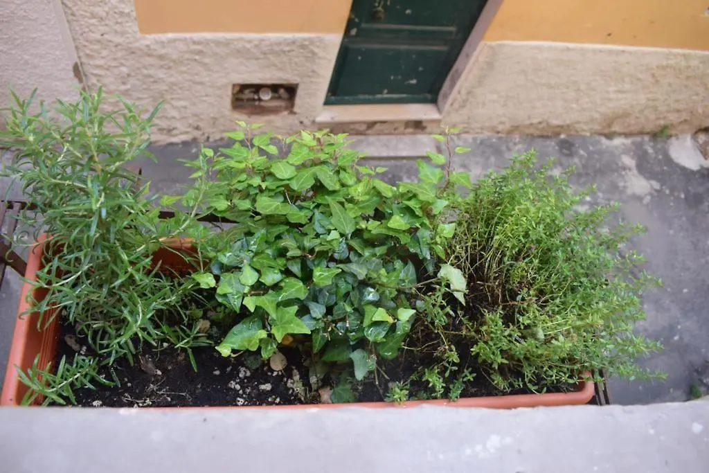 Appartamento Casa San Michele - Monolocale Con Bagno E Cottura Piombino